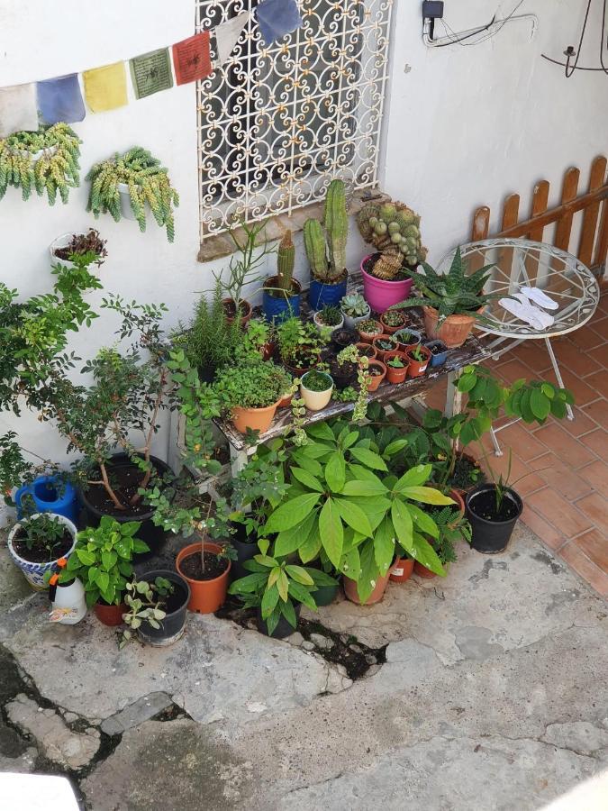 Casa Vera Vejer de la Frontera Exterior foto